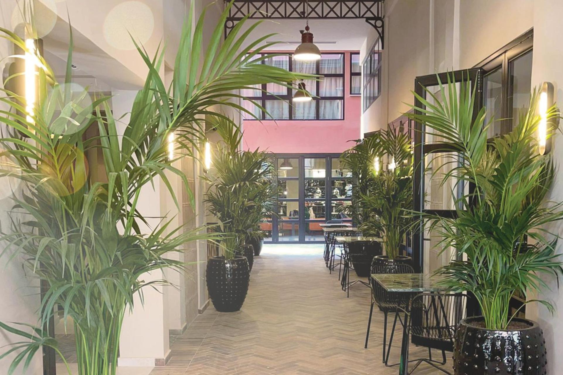 Anise, Aluma Hotels & Resorts Athen Eksteriør bilde